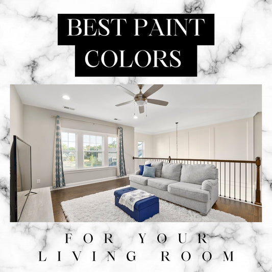 Best Paint Colors For Your Living Room