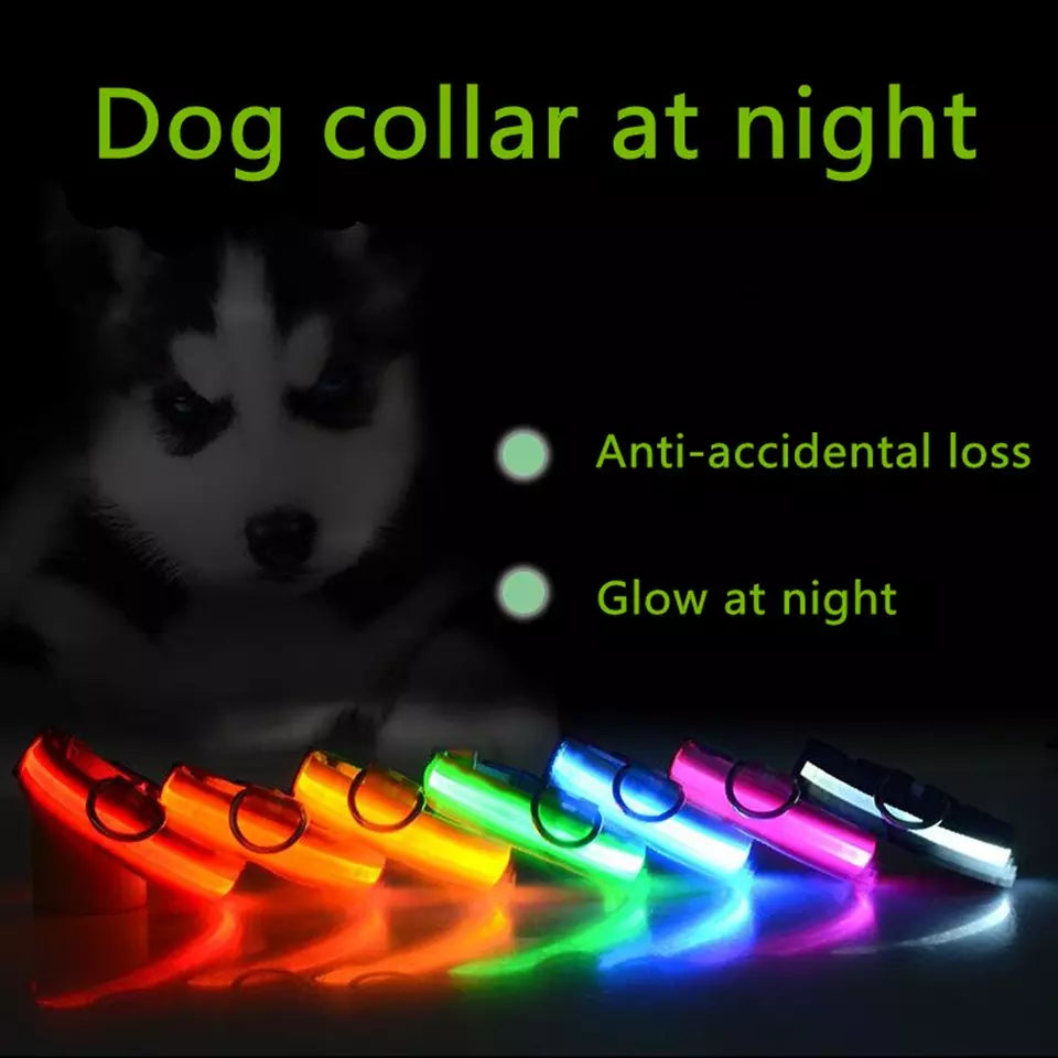 Hometecture™ LED Dog Collar