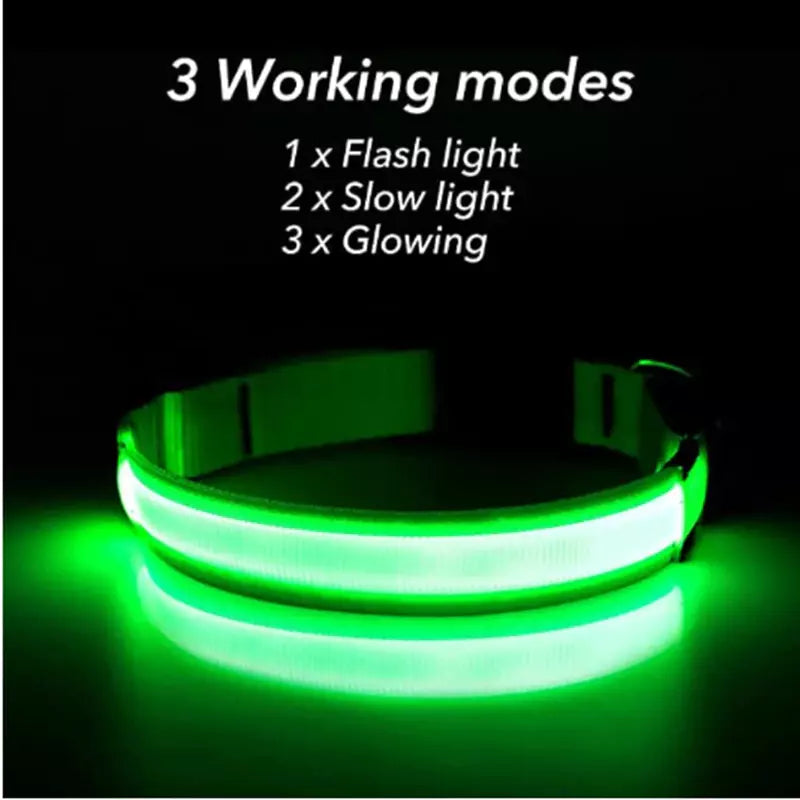 Hometecture™ LED Dog Collar