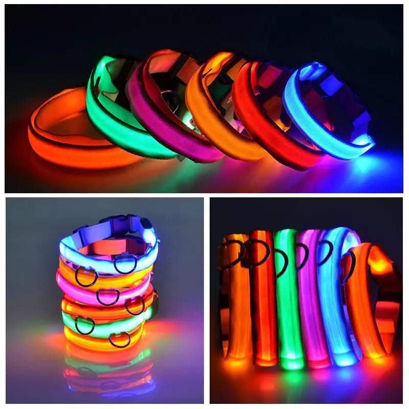 Hometecture™ LED Dog Collar