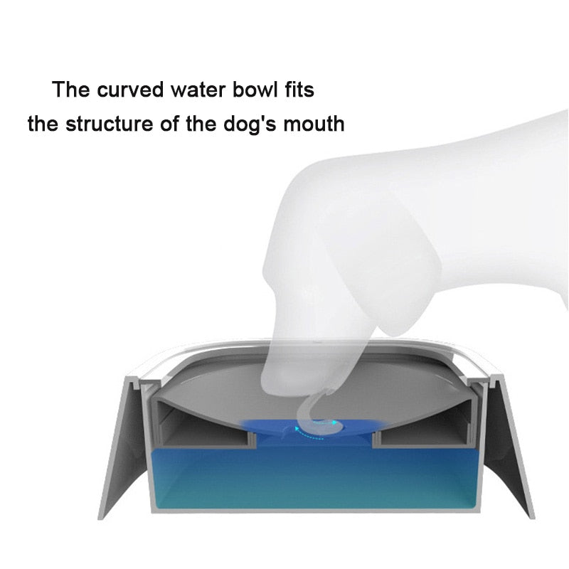 Hometecture™ Anti Splash Dog Bowl