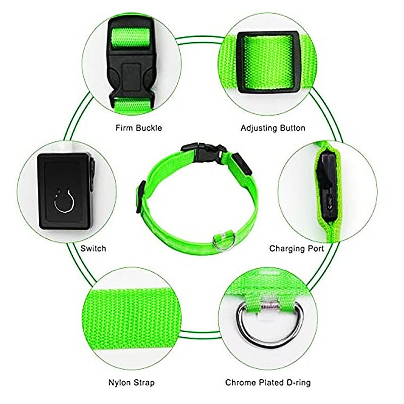 Hometecture™ LED Safety Dog Collar