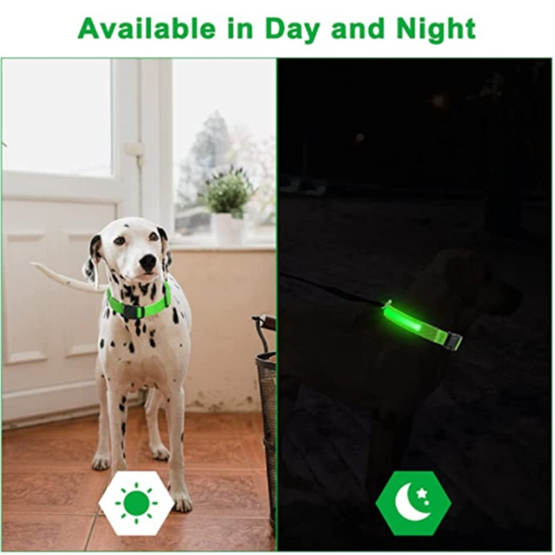 Hometecture™ LED Safety Dog Collar