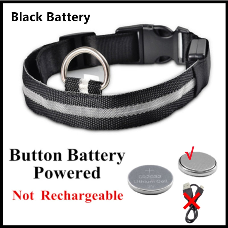 Hometecture™ LED Safety Dog Collar