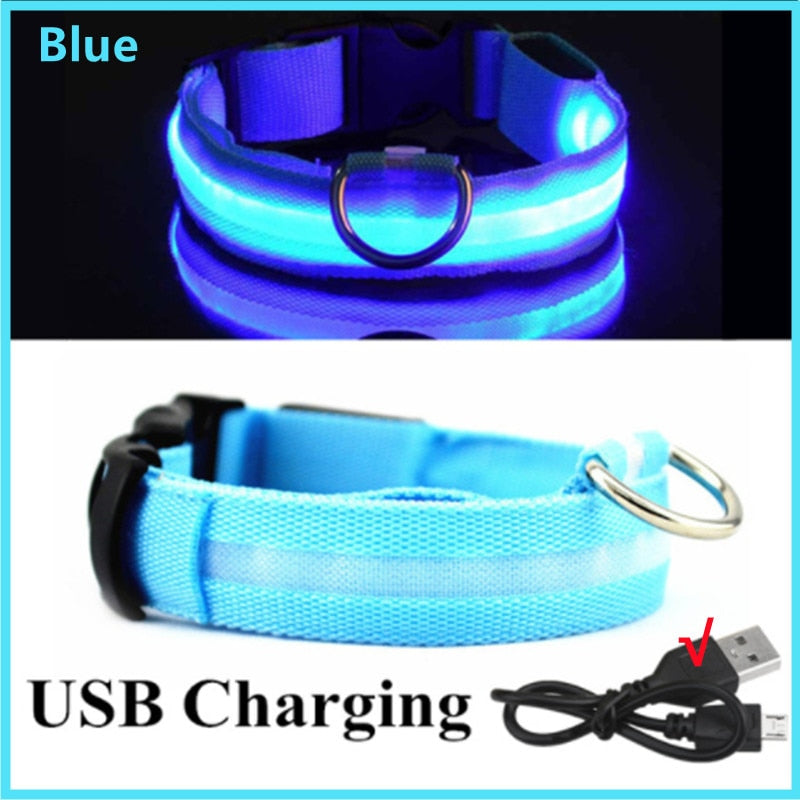Hometecture™ LED Safety Dog Collar
