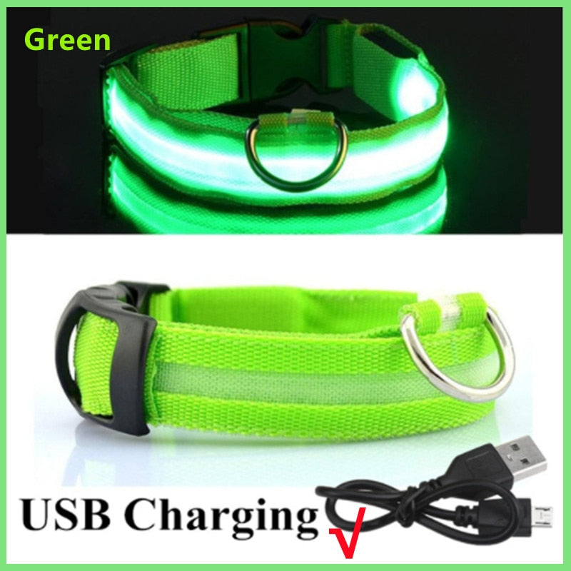 Hometecture™ LED Safety Dog Collar