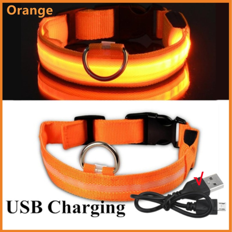 Hometecture™ LED Safety Dog Collar