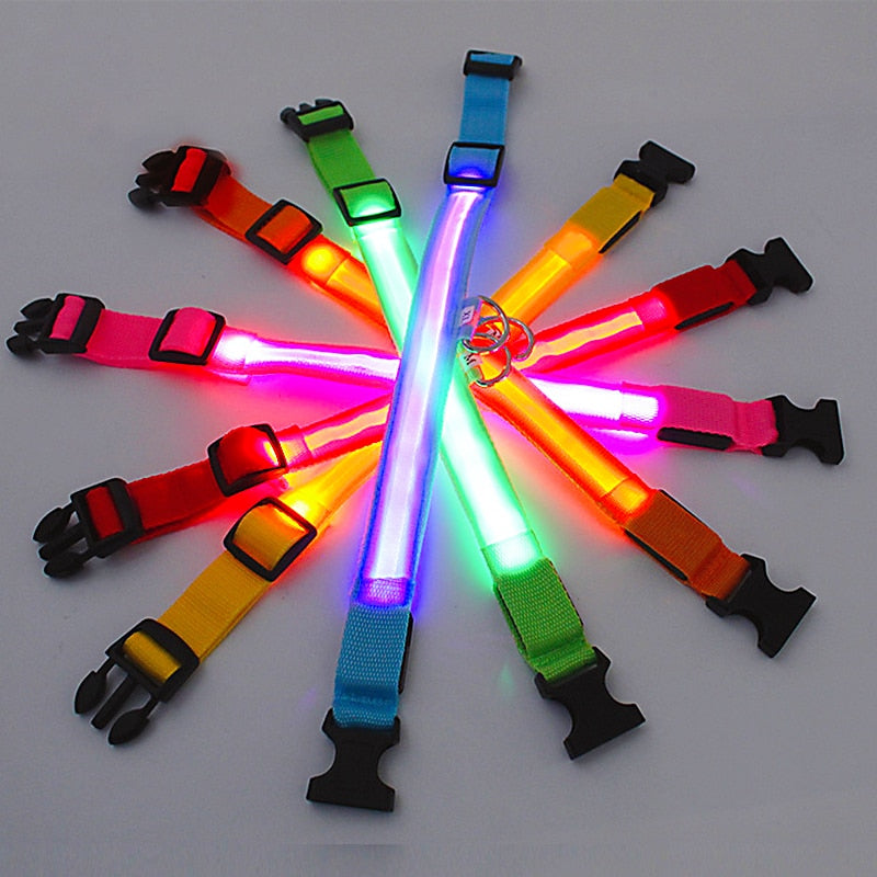 Hometecture™ LED Safety Dog Collar