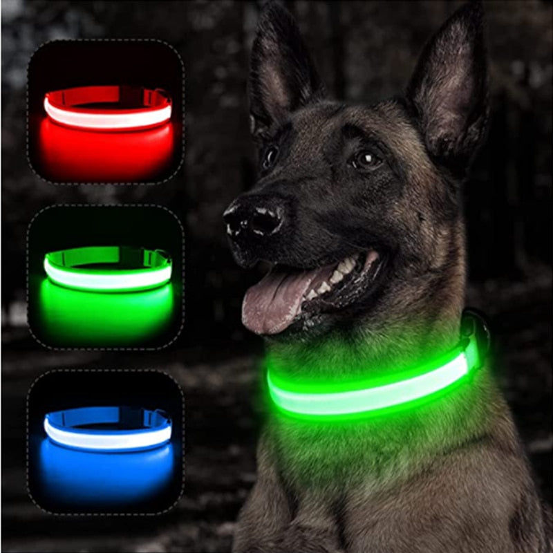 Hometecture™ LED Safety Dog Collar