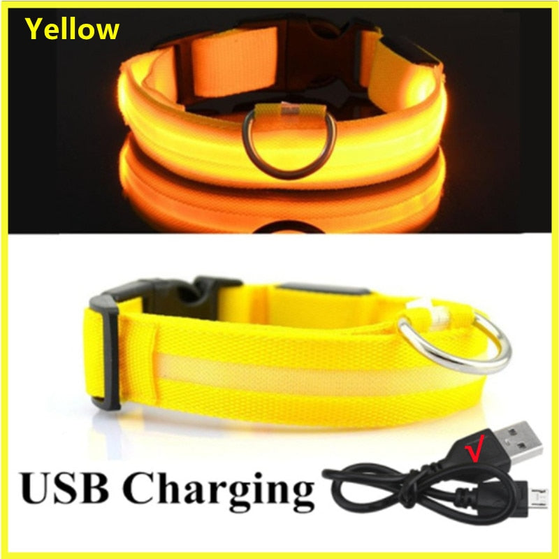 Hometecture™ LED Safety Dog Collar