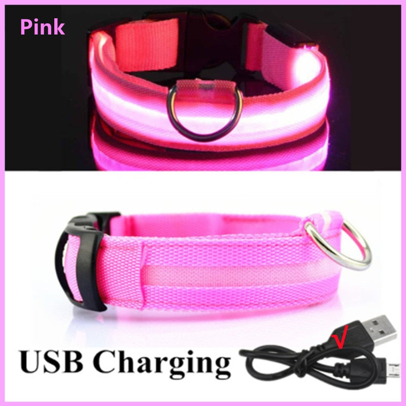 Hometecture™ LED Safety Dog Collar