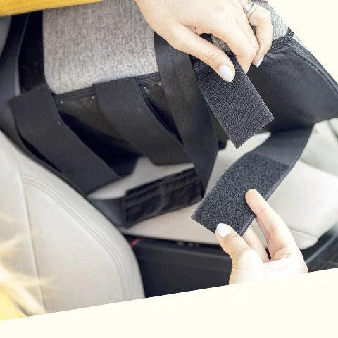 Hometecture™ TravelPaws Pet Car Carrier