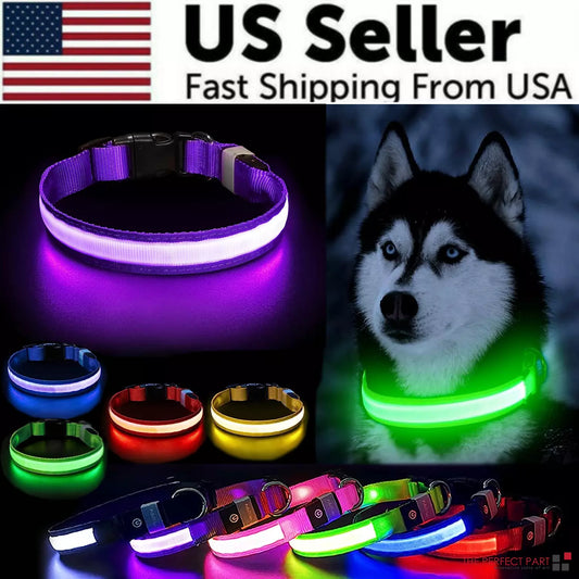 Hometecture™ LED Dog Collar