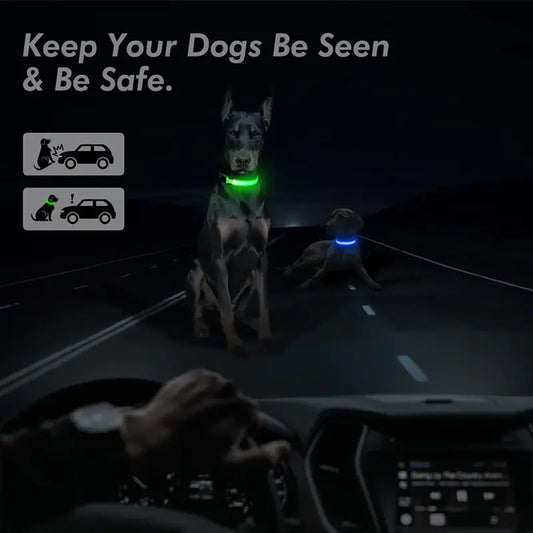 Hometecture™ LED Dog Collar