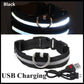 Hometecture™ LED Safety Dog Collar