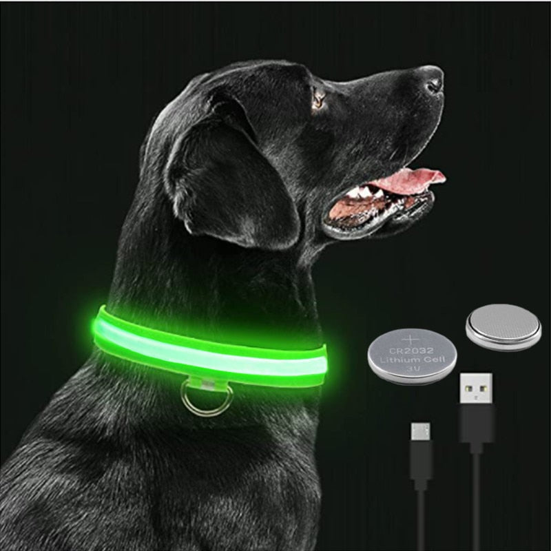 Hometecture™ LED Dog Collar