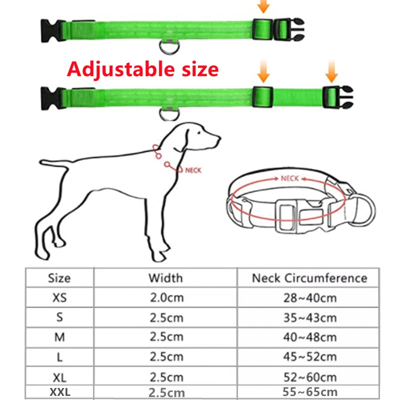 Hometecture™ LED Safety Dog Collar